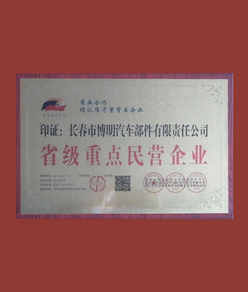 榮譽(yù)資質(zhì)