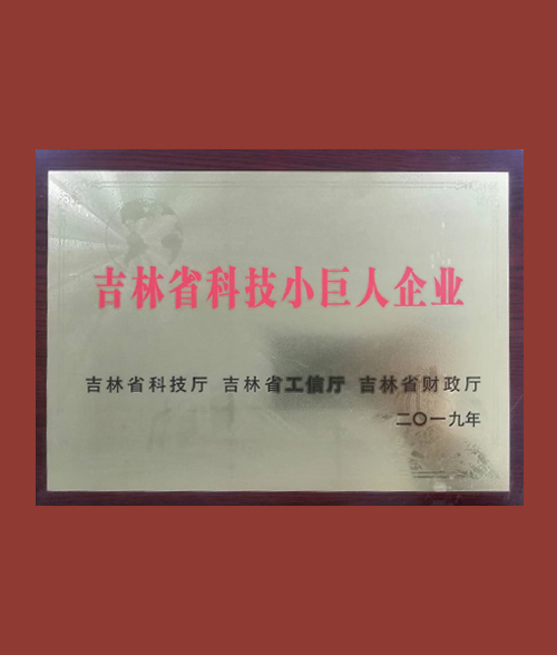 榮譽(yù)資質(zhì)